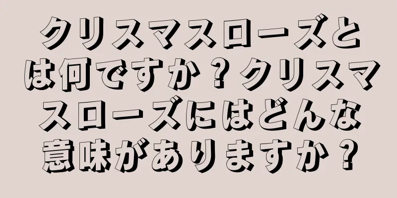 クリスマスローズとは何ですか？クリスマスローズにはどんな意味がありますか？
