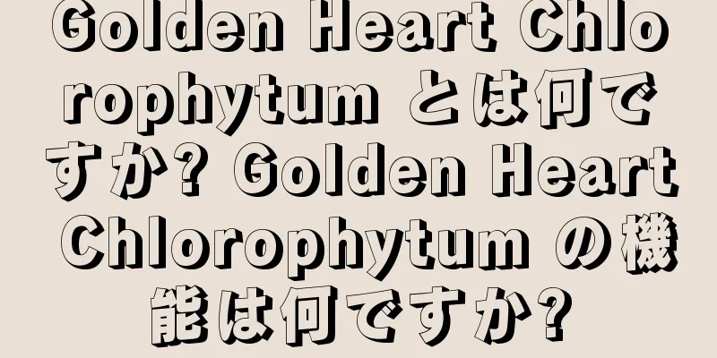 Golden Heart Chlorophytum とは何ですか? Golden Heart Chlorophytum の機能は何ですか?