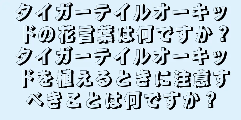 タイガーテイルオーキッドの花言葉は何ですか？タイガーテイルオーキッドを植えるときに注意すべきことは何ですか？