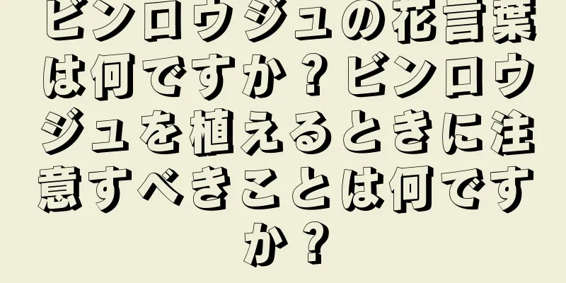 ビンロウジュの花言葉は何ですか？ビンロウジュを植えるときに注意すべきことは何ですか？