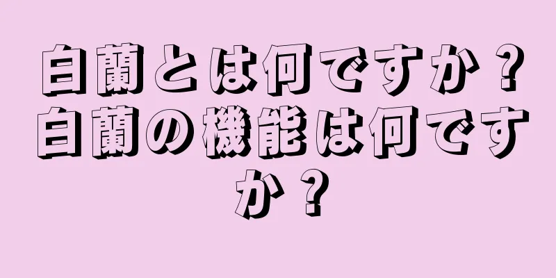 白蘭とは何ですか？白蘭の機能は何ですか？