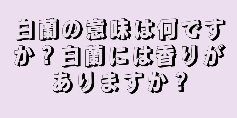 白蘭の意味は何ですか？白蘭には香りがありますか？