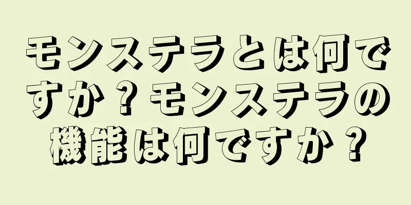 モンステラとは何ですか？モンステラの機能は何ですか？