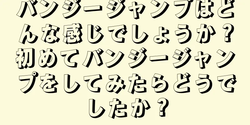 バンジージャンプはどんな感じでしょうか？初めてバンジージャンプをしてみたらどうでしたか？