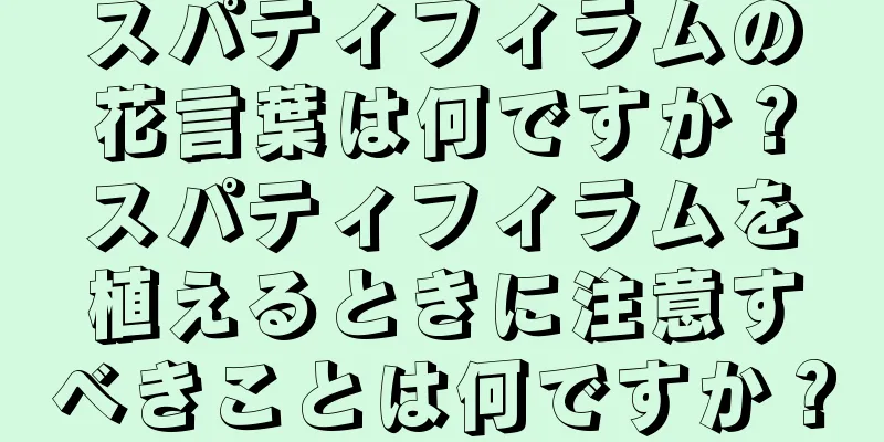 スパティフィラムの花言葉は何ですか？スパティフィラムを植えるときに注意すべきことは何ですか？