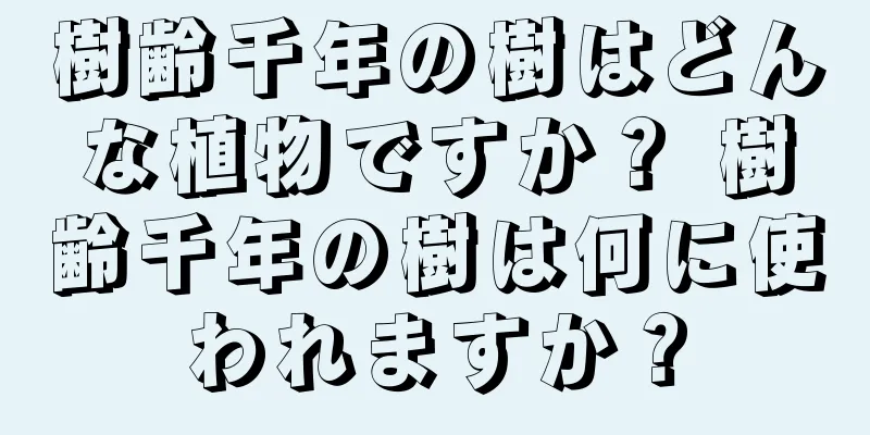 樹齢千年の樹はどんな植物ですか？ 樹齢千年の樹は何に使われますか？