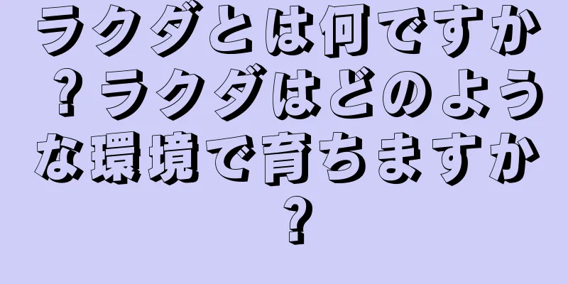 ラクダとは何ですか？ラクダはどのような環境で育ちますか？