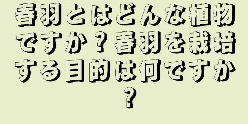 春羽とはどんな植物ですか？春羽を栽培する目的は何ですか？