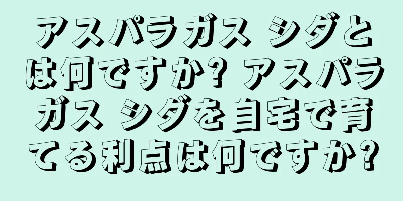 アスパラガス シダとは何ですか? アスパラガス シダを自宅で育てる利点は何ですか?