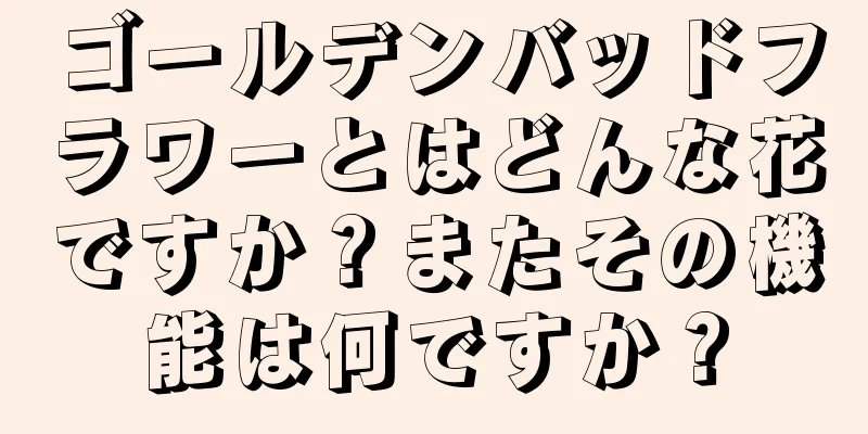 ゴールデンバッドフラワーとはどんな花ですか？またその機能は何ですか？
