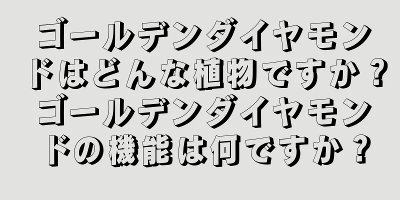 ゴールデンダイヤモンドはどんな植物ですか？ゴールデンダイヤモンドの機能は何ですか？