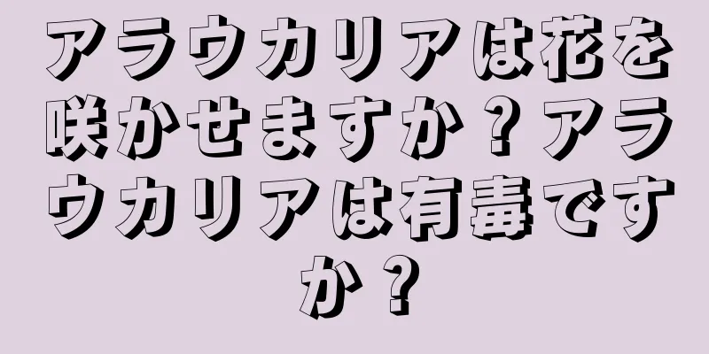 アラウカリアは花を咲かせますか？アラウカリアは有毒ですか？