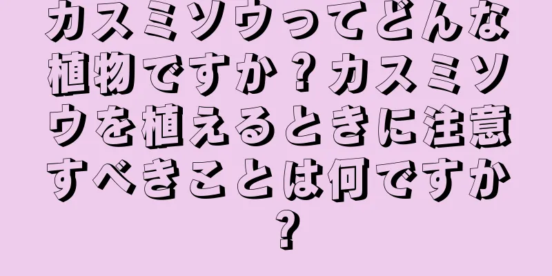 カスミソウってどんな植物ですか？カスミソウを植えるときに注意すべきことは何ですか？