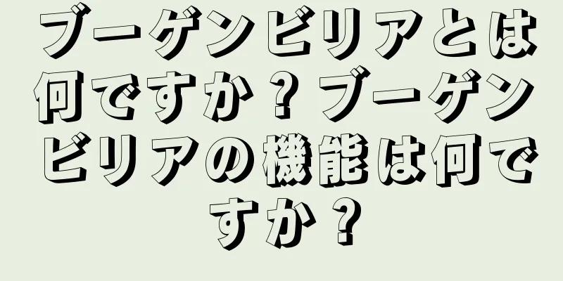 ブーゲンビリアとは何ですか？ブーゲンビリアの機能は何ですか？