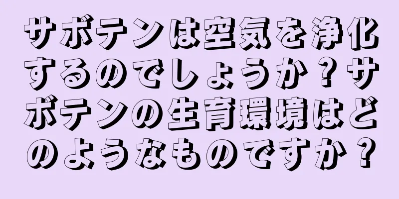 サボテンは空気を浄化するのでしょうか？サボテンの生育環境はどのようなものですか？