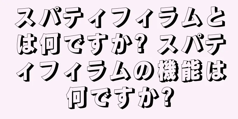 スパティフィラムとは何ですか? スパティフィラムの機能は何ですか?