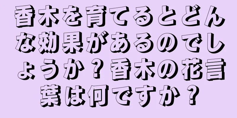 香木を育てるとどんな効果があるのでしょうか？香木の花言葉は何ですか？