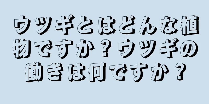 ウツギとはどんな植物ですか？ウツギの働きは何ですか？