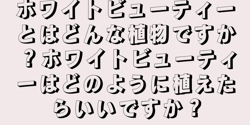 ホワイトビューティーとはどんな植物ですか？ホワイトビューティーはどのように植えたらいいですか？