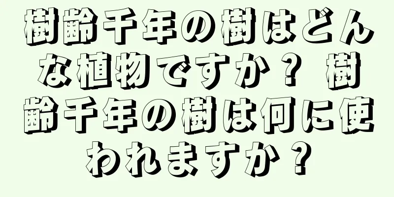 樹齢千年の樹はどんな植物ですか？ 樹齢千年の樹は何に使われますか？