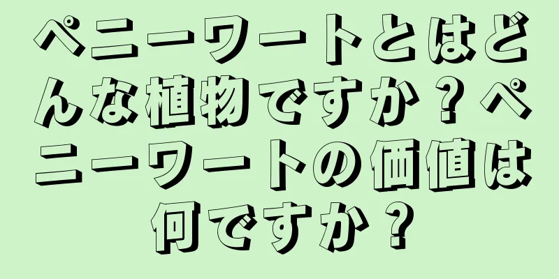 ペニーワートとはどんな植物ですか？ペニーワートの価値は何ですか？