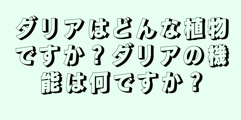 ダリアはどんな植物ですか？ダリアの機能は何ですか？
