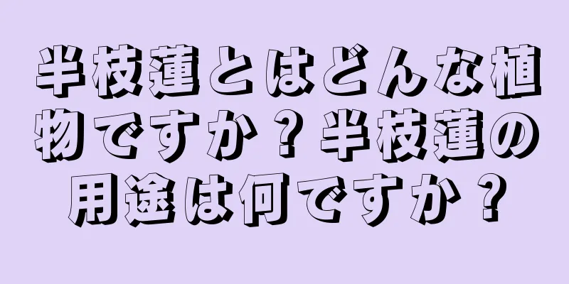 半枝蓮とはどんな植物ですか？半枝蓮の用途は何ですか？