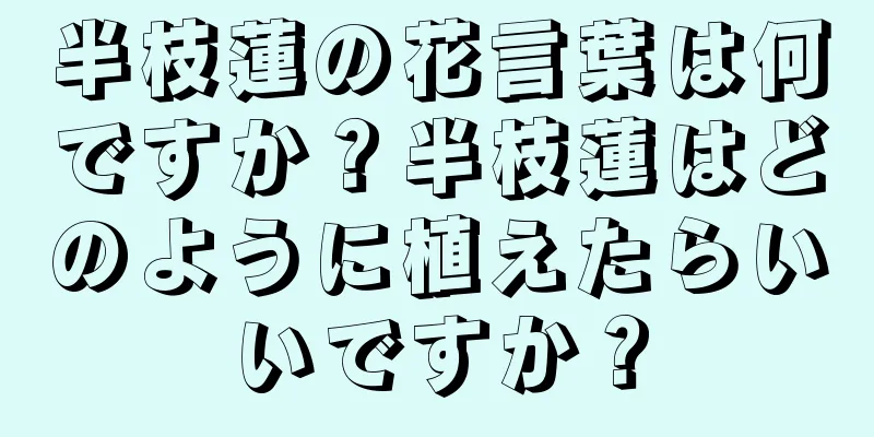 半枝蓮の花言葉は何ですか？半枝蓮はどのように植えたらいいですか？