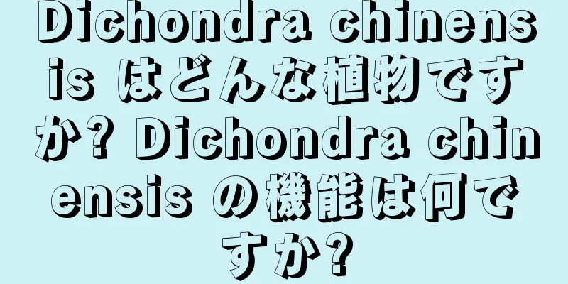Dichondra chinensis はどんな植物ですか? Dichondra chinensis の機能は何ですか?