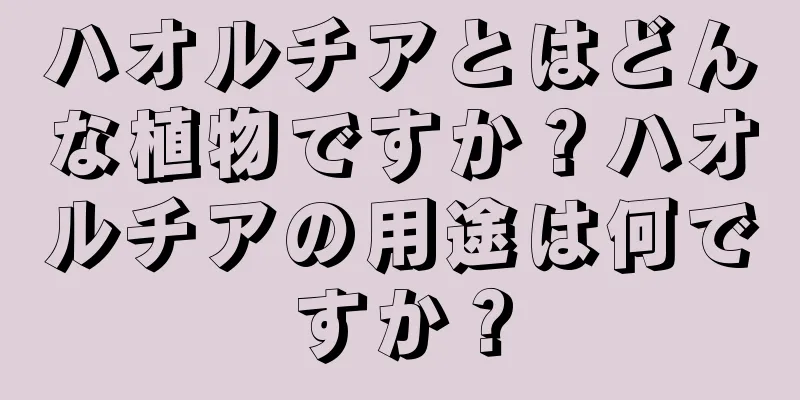 ハオルチアとはどんな植物ですか？ハオルチアの用途は何ですか？