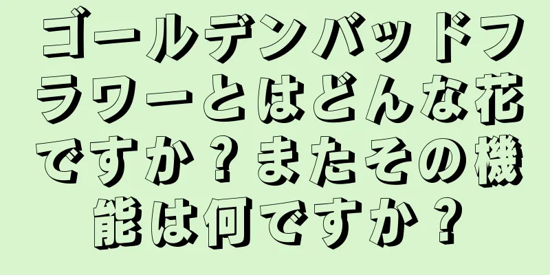 ゴールデンバッドフラワーとはどんな花ですか？またその機能は何ですか？
