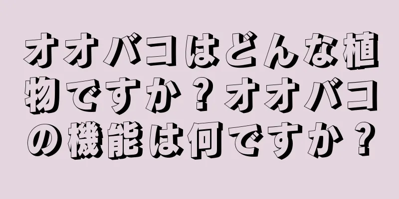 オオバコはどんな植物ですか？オオバコの機能は何ですか？