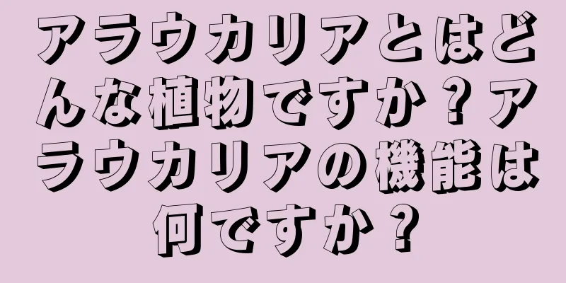 アラウカリアとはどんな植物ですか？アラウカリアの機能は何ですか？