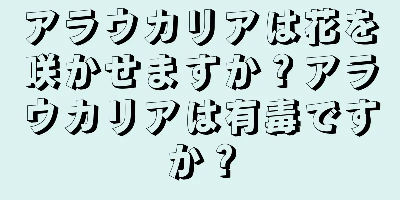 アラウカリアは花を咲かせますか？アラウカリアは有毒ですか？
