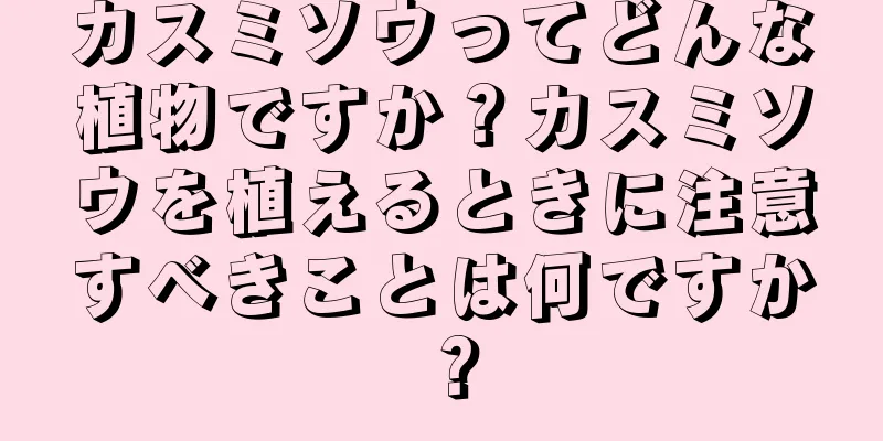 カスミソウってどんな植物ですか？カスミソウを植えるときに注意すべきことは何ですか？