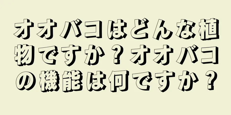 オオバコはどんな植物ですか？オオバコの機能は何ですか？