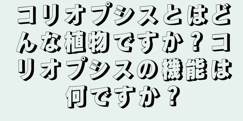 コリオプシスとはどんな植物ですか？コリオプシスの機能は何ですか？