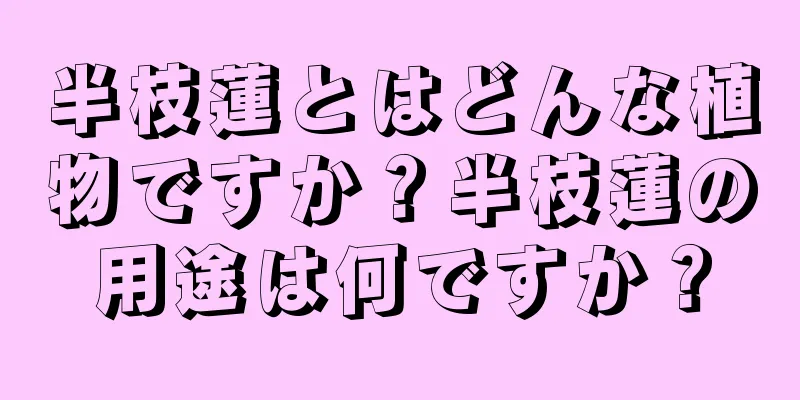 半枝蓮とはどんな植物ですか？半枝蓮の用途は何ですか？