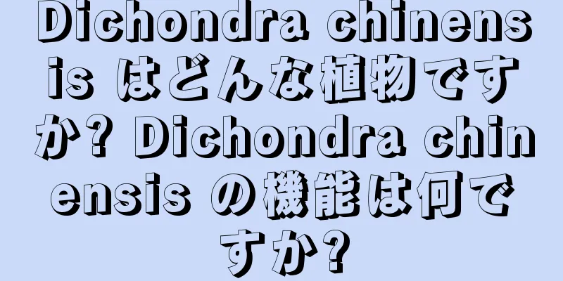 Dichondra chinensis はどんな植物ですか? Dichondra chinensis の機能は何ですか?
