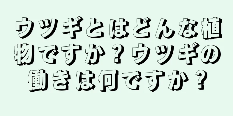 ウツギとはどんな植物ですか？ウツギの働きは何ですか？