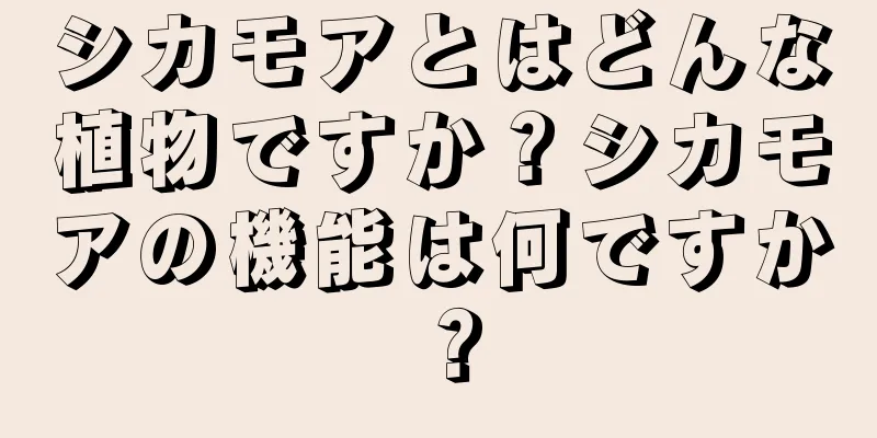 シカモアとはどんな植物ですか？シカモアの機能は何ですか？
