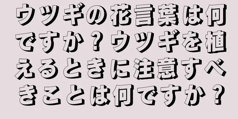 ウツギの花言葉は何ですか？ウツギを植えるときに注意すべきことは何ですか？
