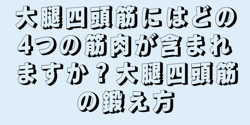 大腿四頭筋にはどの4つの筋肉が含まれますか？大腿四頭筋の鍛え方