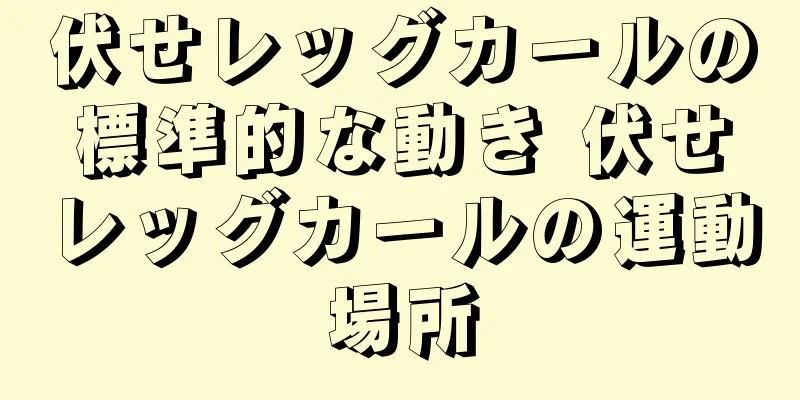伏せレッグカールの標準的な動き 伏せレッグカールの運動場所