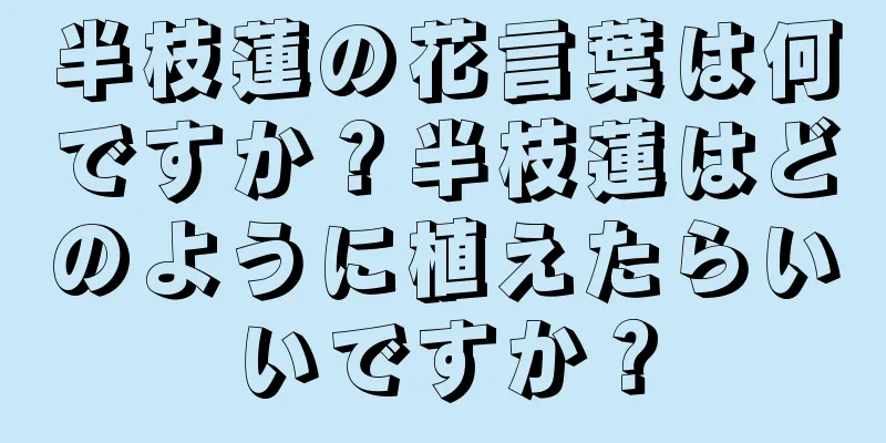 半枝蓮の花言葉は何ですか？半枝蓮はどのように植えたらいいですか？