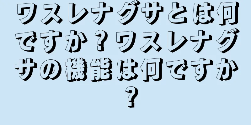 ワスレナグサとは何ですか？ワスレナグサの機能は何ですか？