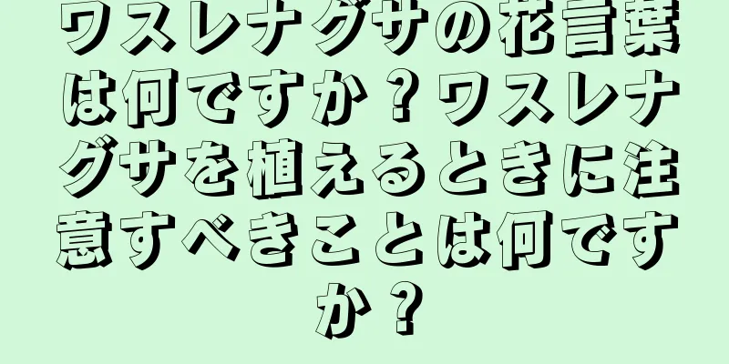 ワスレナグサの花言葉は何ですか？ワスレナグサを植えるときに注意すべきことは何ですか？
