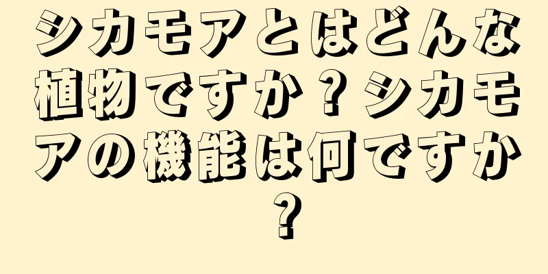 シカモアとはどんな植物ですか？シカモアの機能は何ですか？