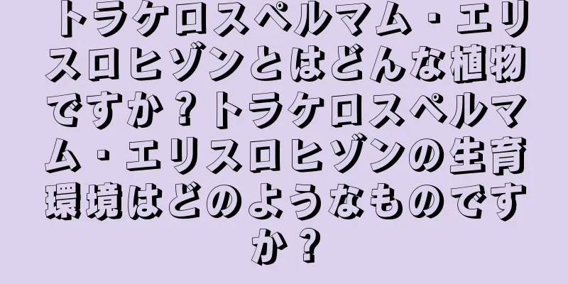 トラケロスペルマム・エリスロヒゾンとはどんな植物ですか？トラケロスペルマム・エリスロヒゾンの生育環境はどのようなものですか？