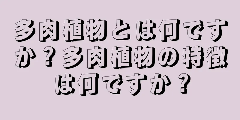 多肉植物とは何ですか？多肉植物の特徴は何ですか？